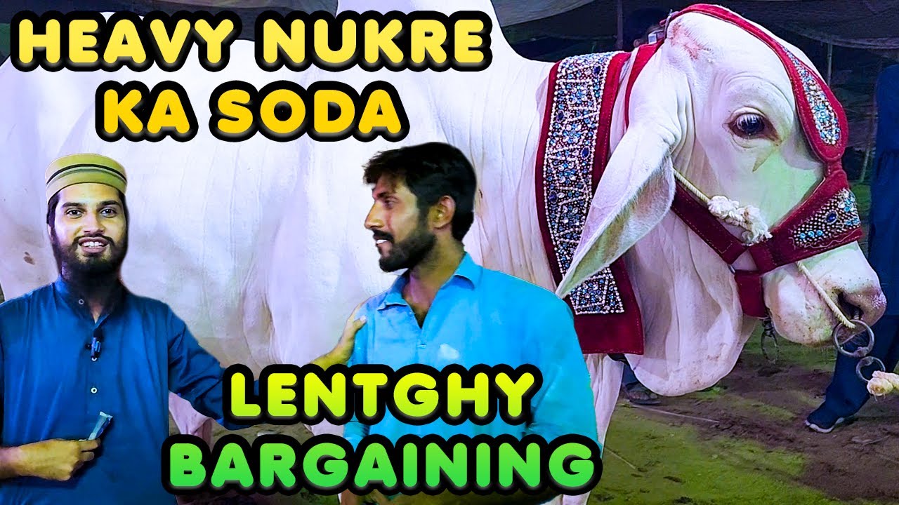 18 LAC KE NUKRE KE SODAY KE LIYE BHARPOOR BARGAINING | Northern Bypass Cow Mandi | Bakra Eid 2023