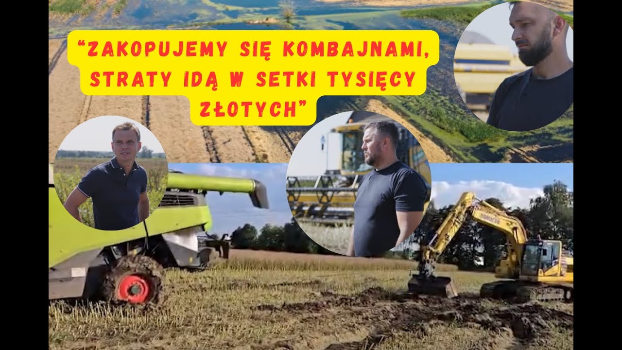 Żniwa na Żuławach: rolnicy liczą straty w milionach złotych. Jak sobie radzą?