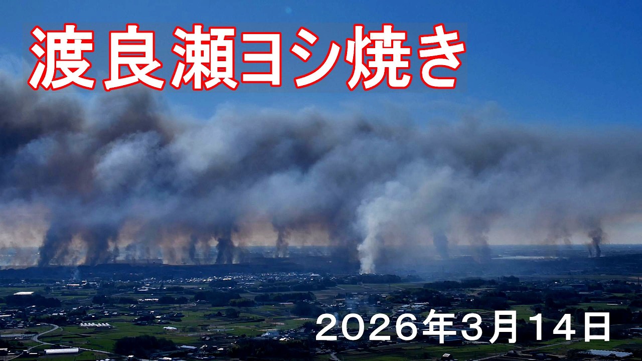 渡良瀬ヨシ焼き 2026　俯瞰全体撮影