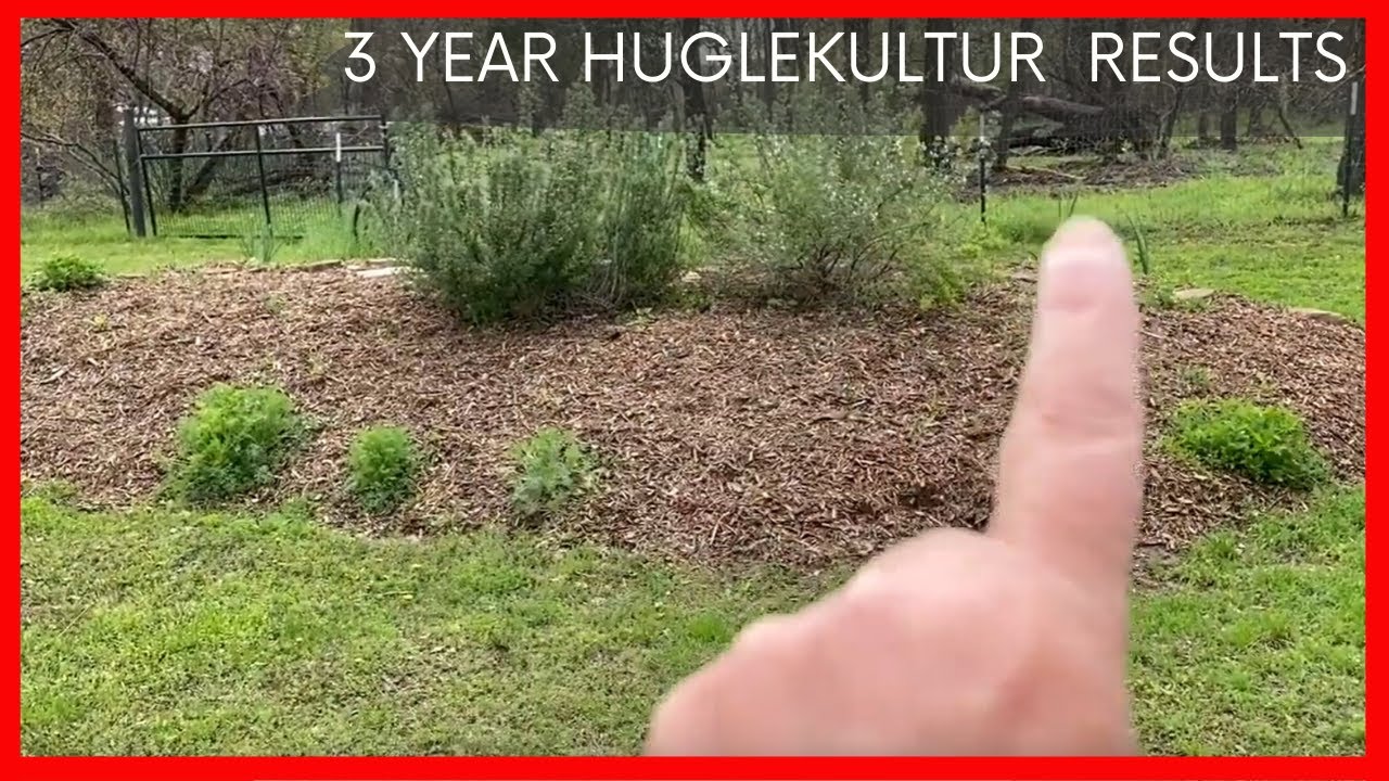 Our 3 Year Hugelkultur Beds Results and Construction
