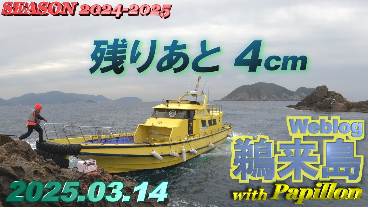 鵜来島 2025年03月14日 (金)