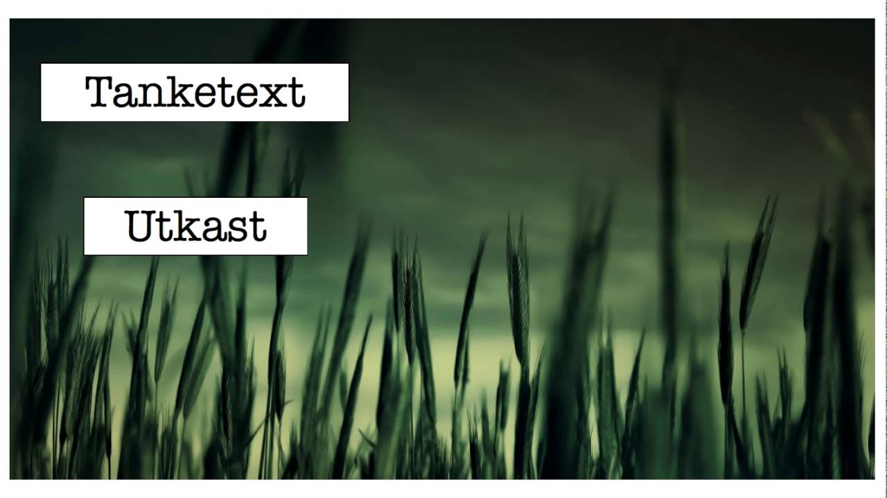 Det vetenskapliga språket