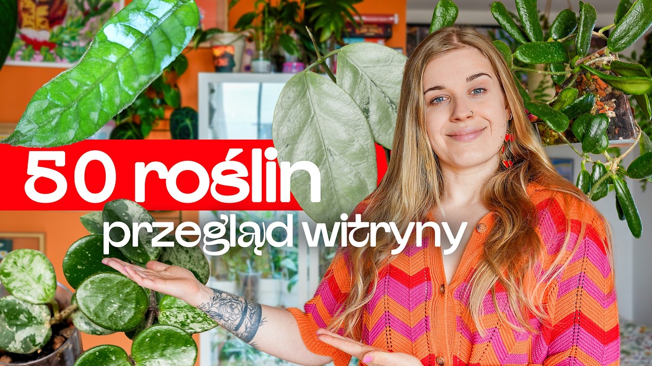 50 roślin - zajrzyj do mojej witryny | hoje | plant tour