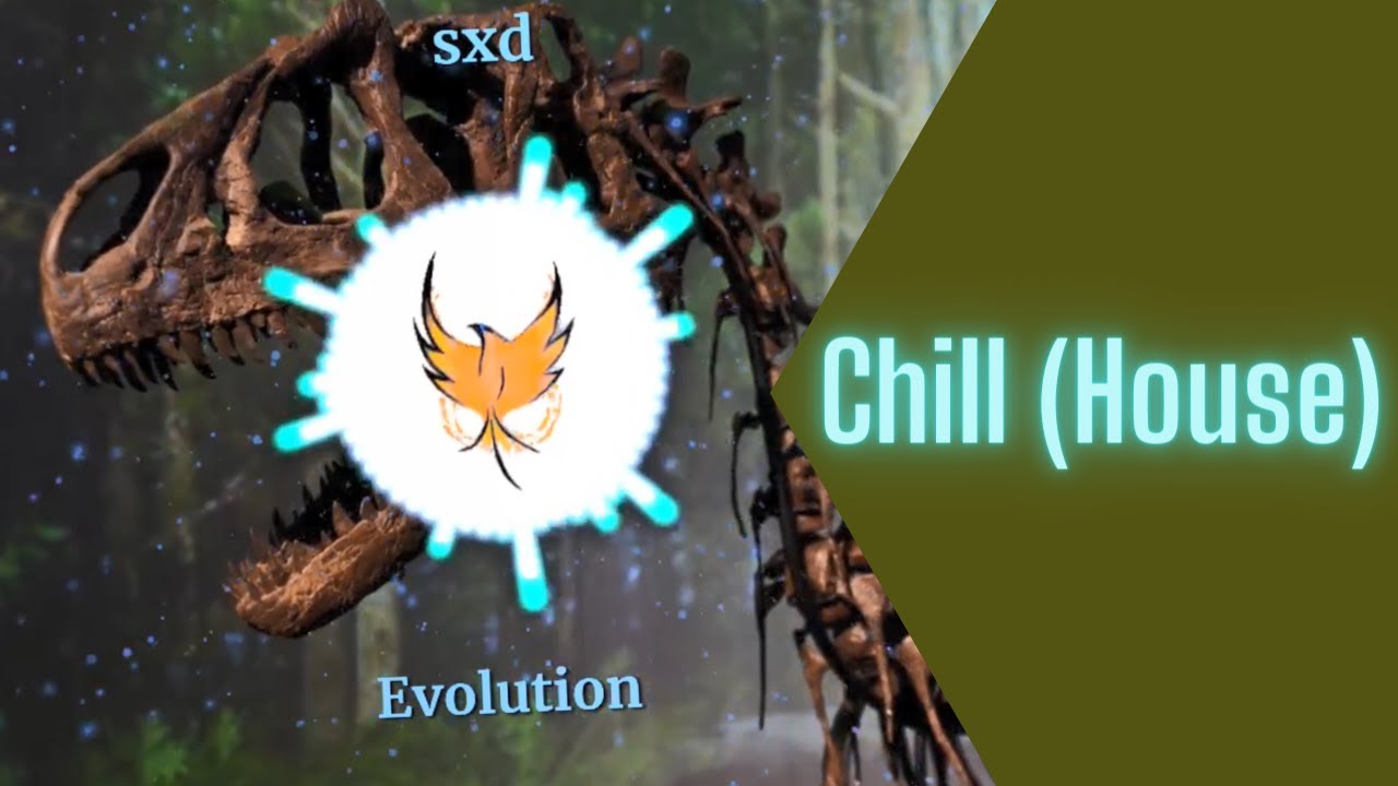 sxd - Evolution