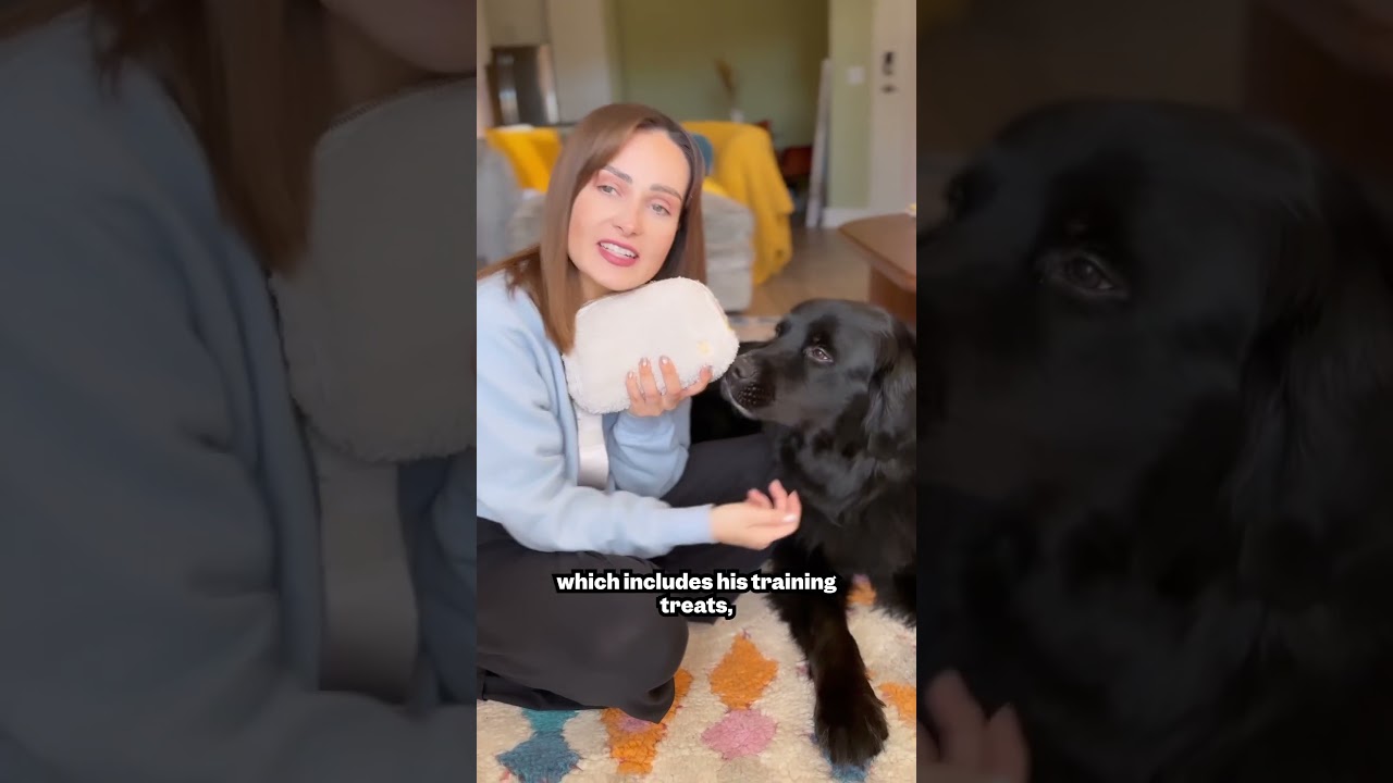 What&rsquo;s in my GUIDE DOGS bag!!