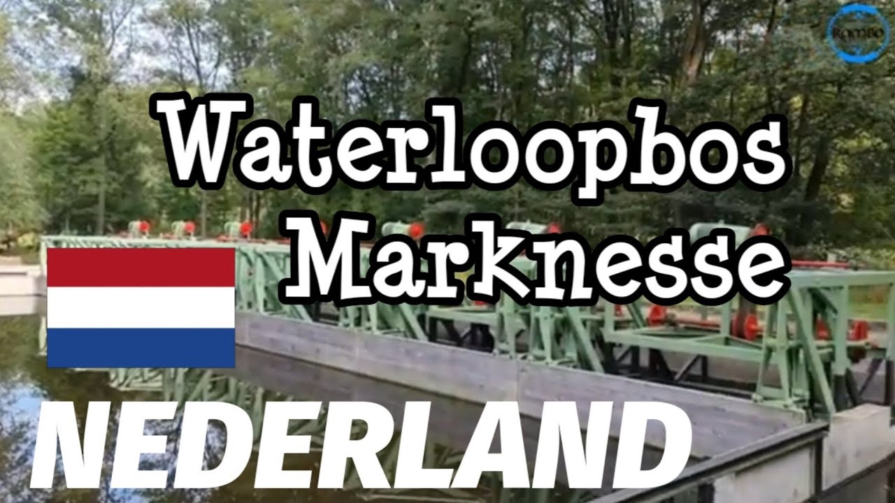 NEDERLAND Waterloopbos bij Marknesse Havenroute 3 km