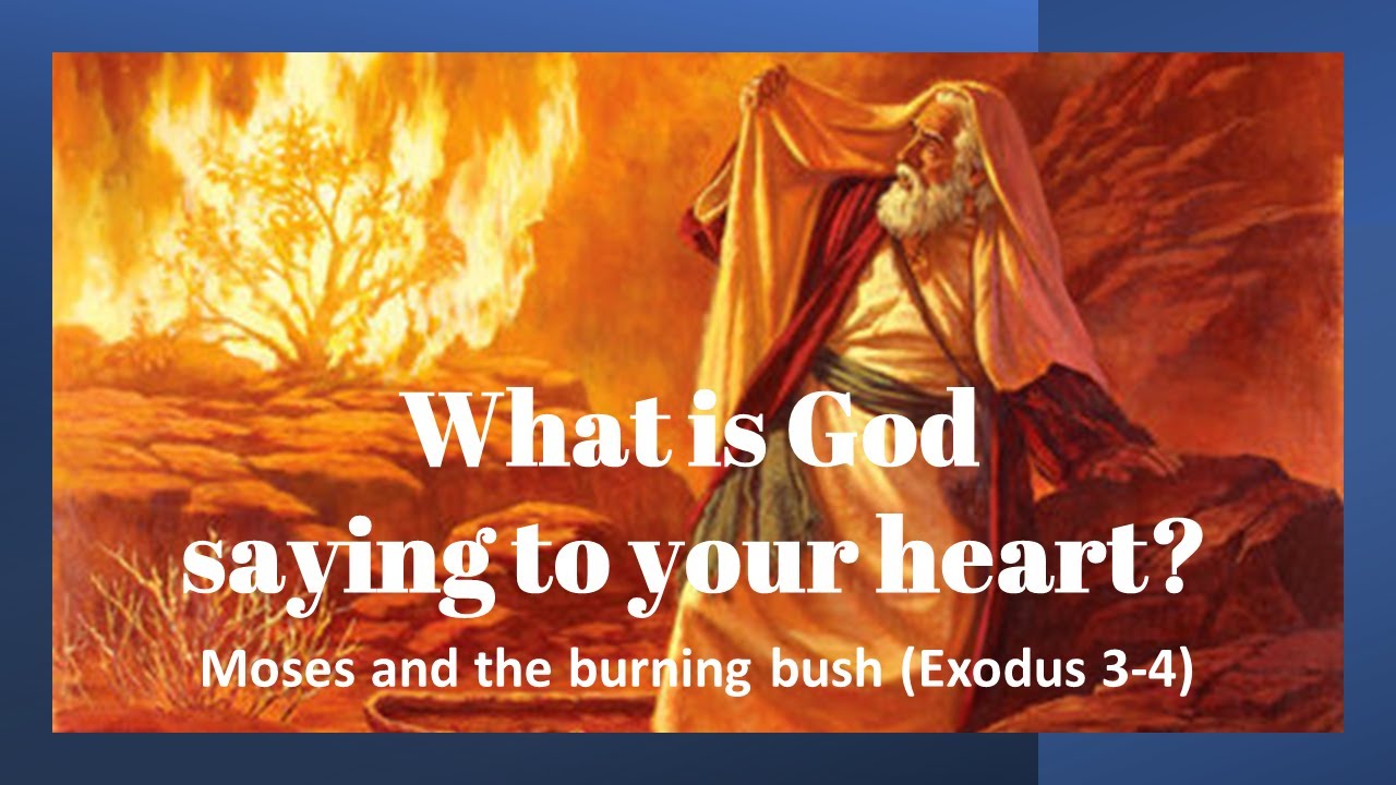 Moses at the Burning Bush: God calls, equips, and goes with us (Exodus 3-4)