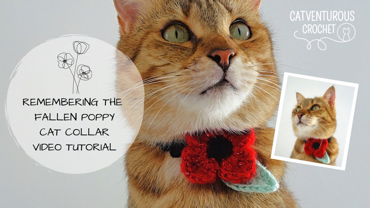 Remembering The Fallen Poppy Cat Collar - Catventurous Crochet