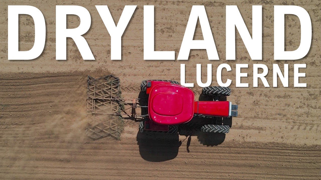 Planting Dryland Lucerne