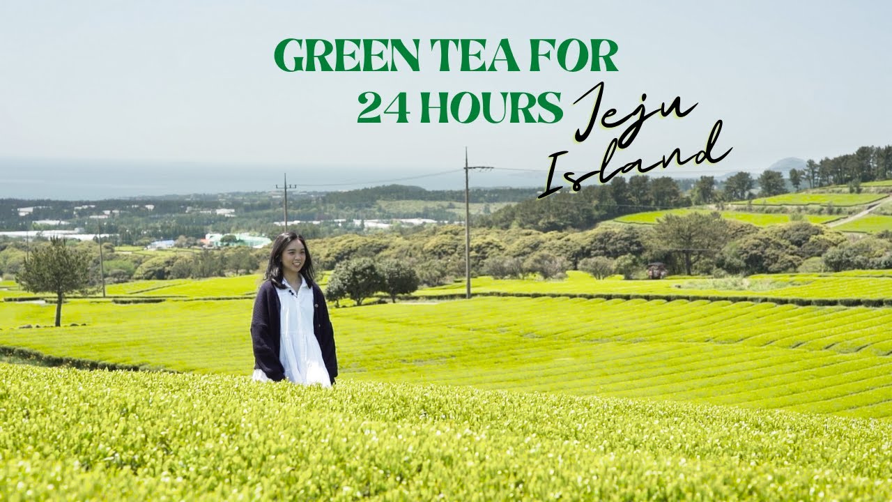 Green Tea Tour in Jeju Island with Innisfree #GIVEAWAY