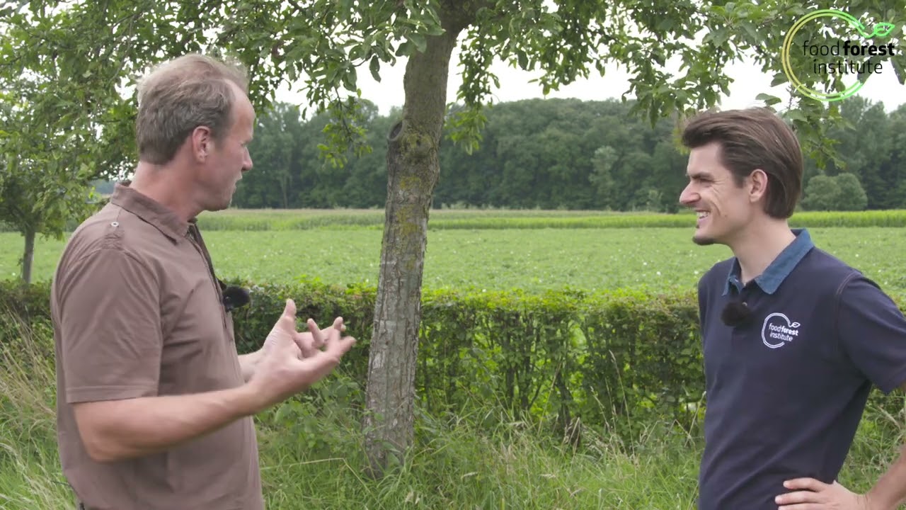 🌳 Wat is het verschil tussen cider appels en eetappels 🍎 Lombarts Calville | Louis De Jaeger