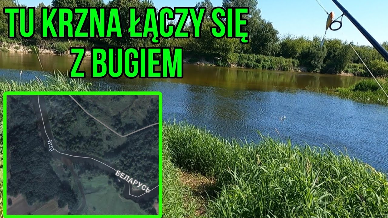 NA UJŚCIU RZEKI . TU RZEKA BUG WCHŁANIA RZEKĘ KRZNĘ . PIĘKNE MEANDRY DZIKIEJ RZEKI !