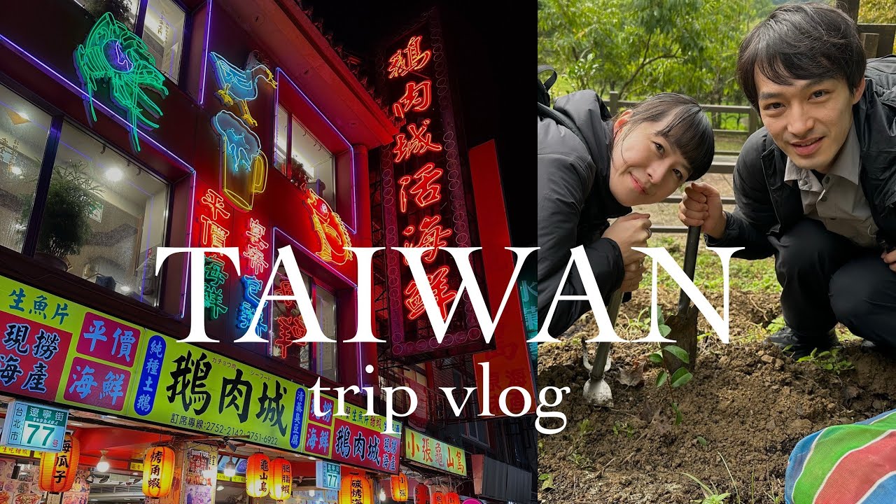 【2023年11月 台湾旅行 前編】6回目の台湾旅行、寧夏夜市グルメ、茶樹植え体験、宜蘭へ旅行、山奥の茶園でティータイム、台湾夜市巡り、台湾茶業博、迪化街、人和園で雲南料理