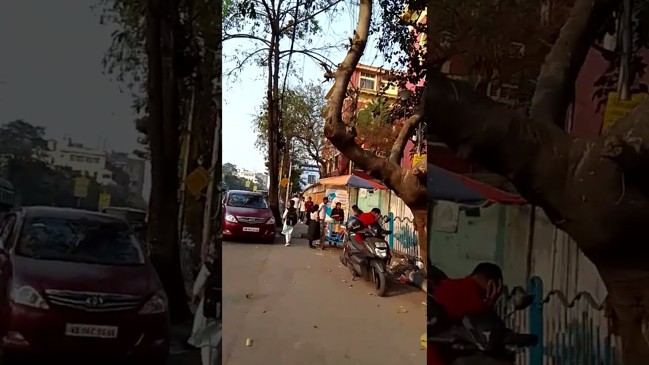 Another part Little piece#Central Avenue alias Chittaranjan Avenue kolkata India 154100