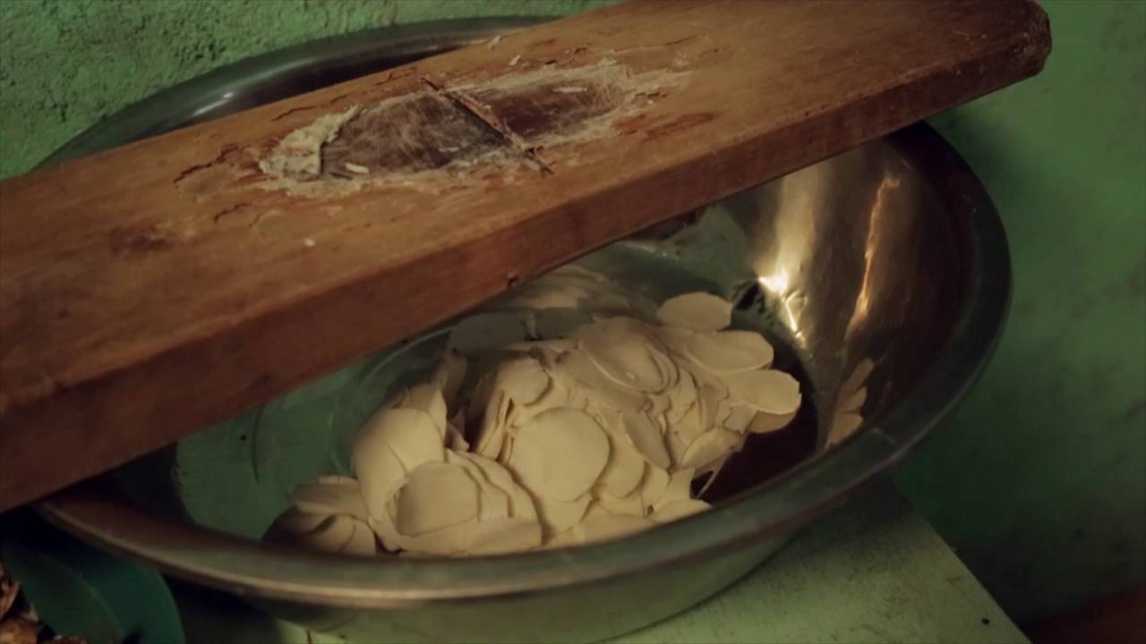 Micro-Entreprise de vente de chips de Taro