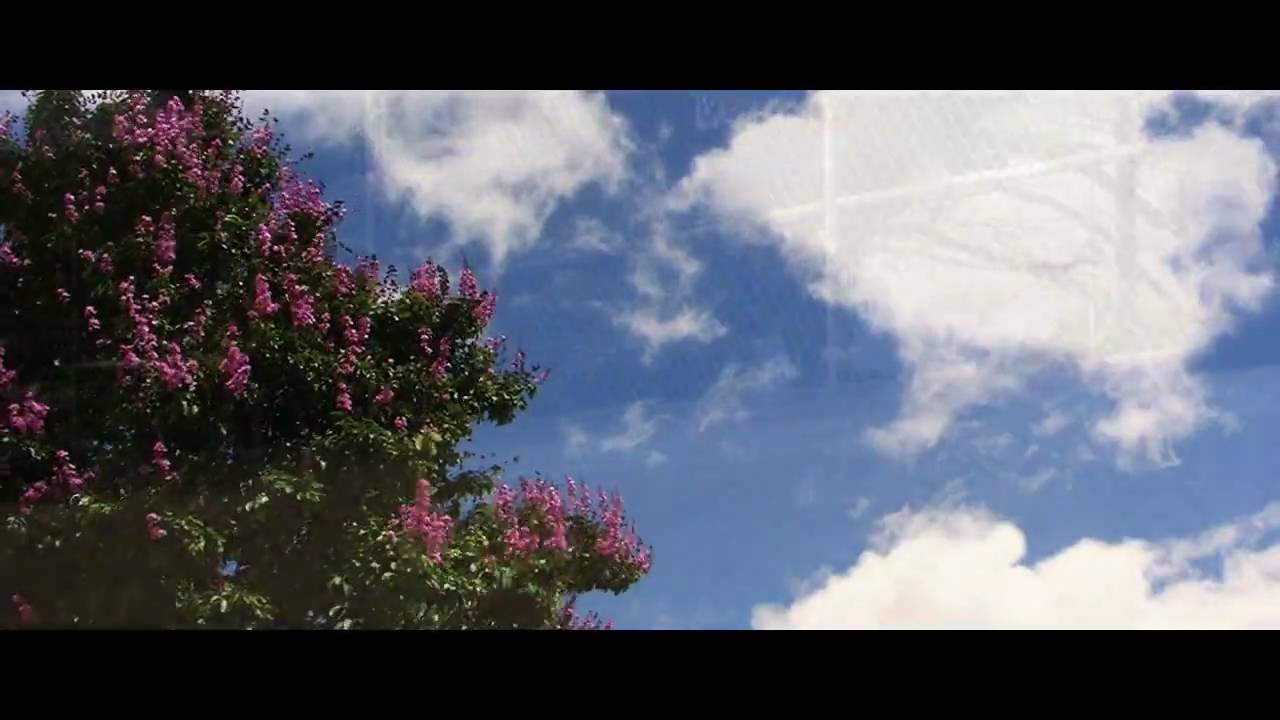 Good Daze Promo Intro