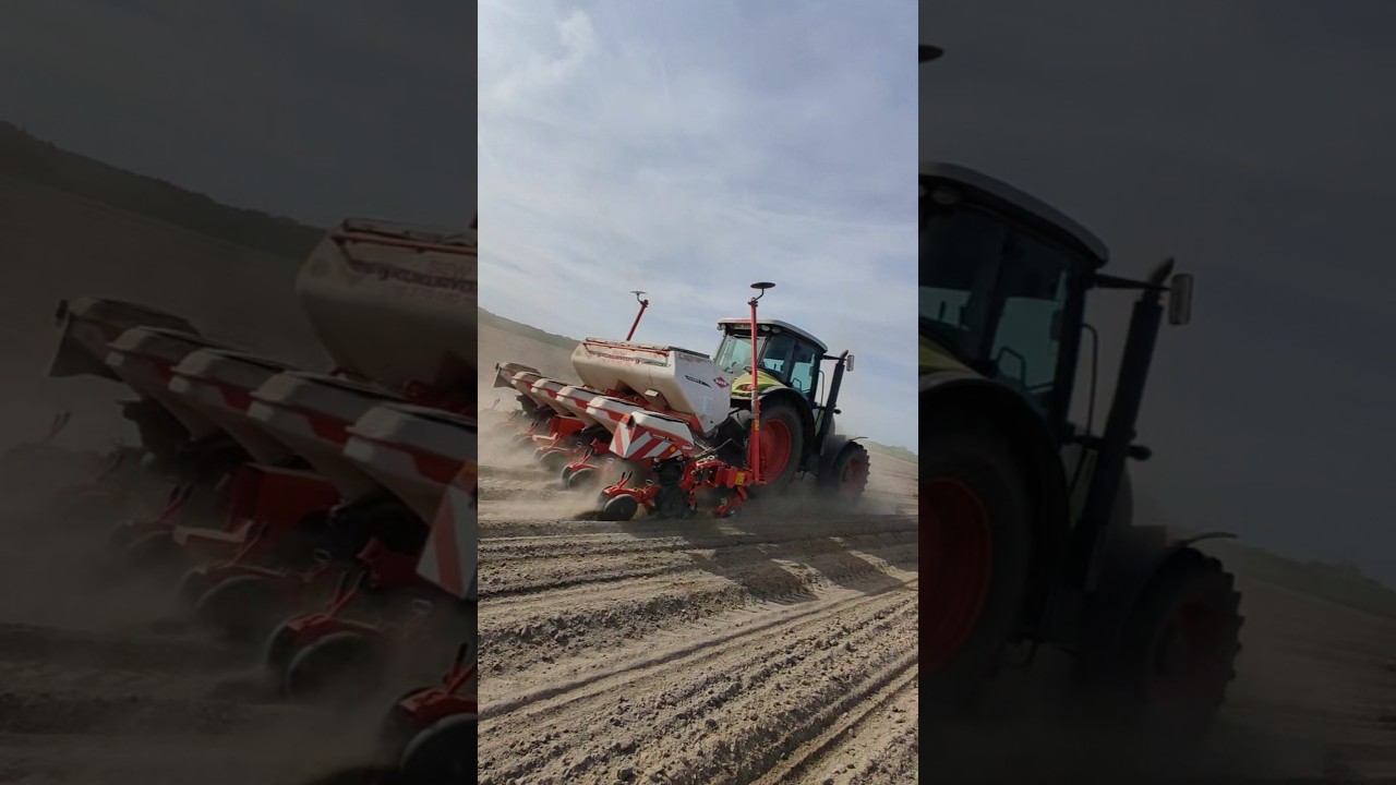 Claas Arion 630 & Kuhn #kukurydza #claas #agriculture #agro #shots #sound