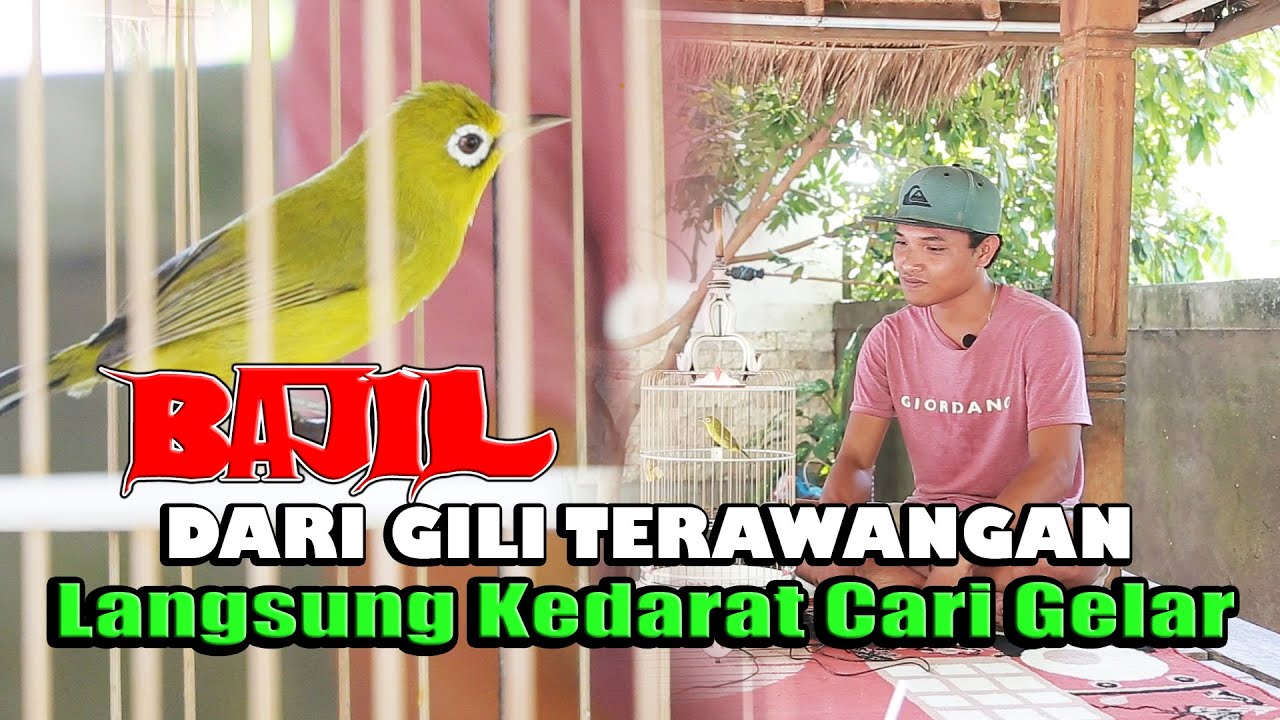 SEBERANG LAUTAN BUKAN JADI HALANGAN||VLOG KECIAL JUARA||ANAKAN PENIOK PANDANAN||BROTHER CIAK