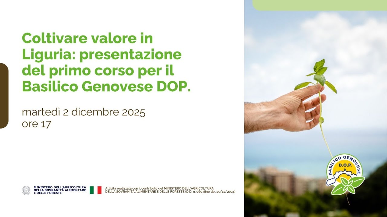 Coltivare valore in Liguria: presentazione del primo corso per il Basilico Genovese DOP.