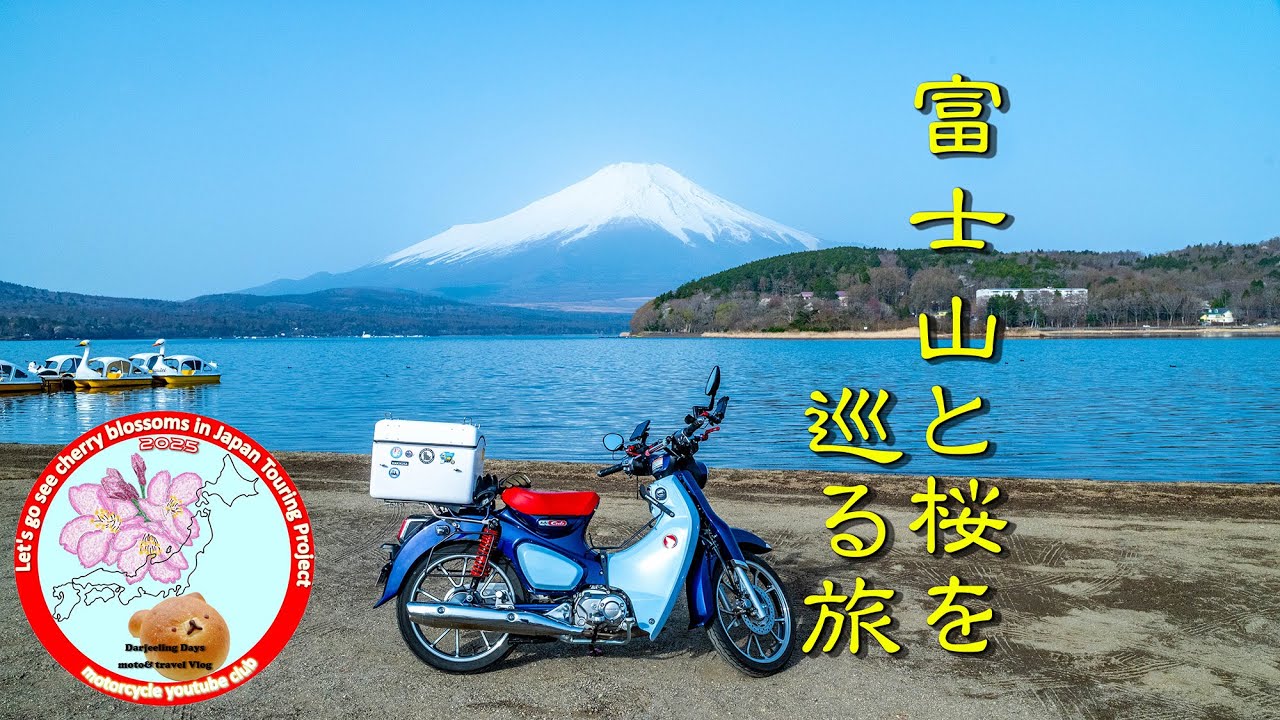 【富士山を巡る】　道志みちから富士山の西側へ！｜ 日本の桜を見に行こう！ツーリングプロジェクト2025 / スーパーカブC125 【モトブログ＃96】#道志みち #カブ散歩 #富士山