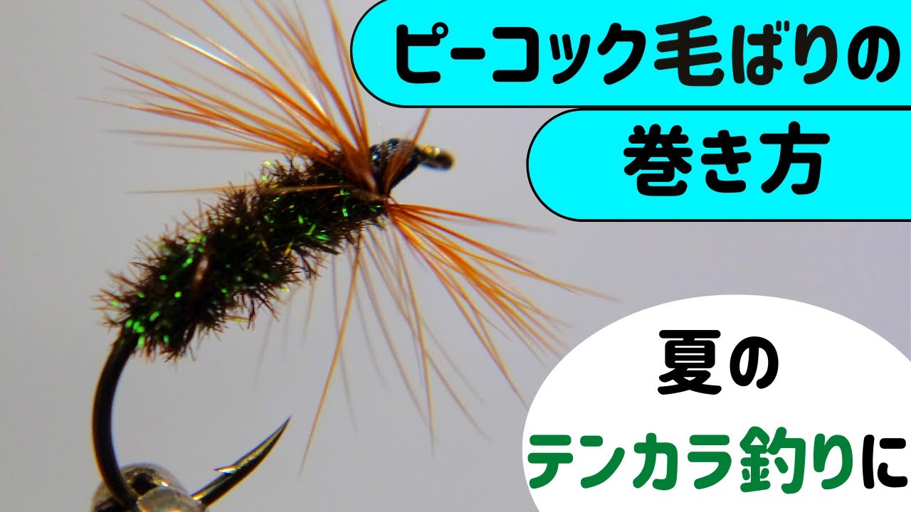 【夏の定番】ピーコック毛ばり巻き方