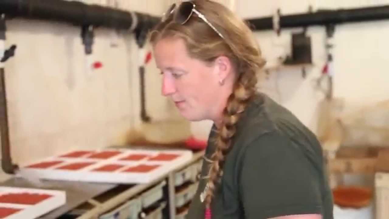 Ontario Aquaculture - Receiving Live Eggs