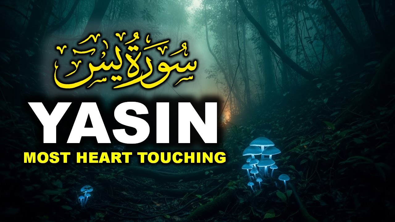 Relaxing Surah Yasin for Sleep, Depression, & Anxiety ✦ Yaseen سورة يس ✦ Relaxing Quran