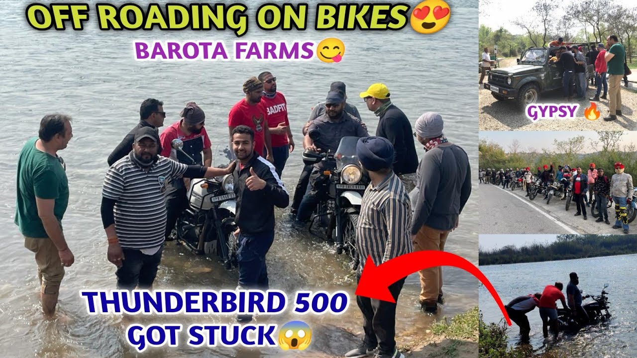 OFF-ROAD at BAROTA FARMS on Bikes⛽🏍️| Thunderbird Got Stuck😱 | Barota Farm Full Tour😍|Royal Enfield|