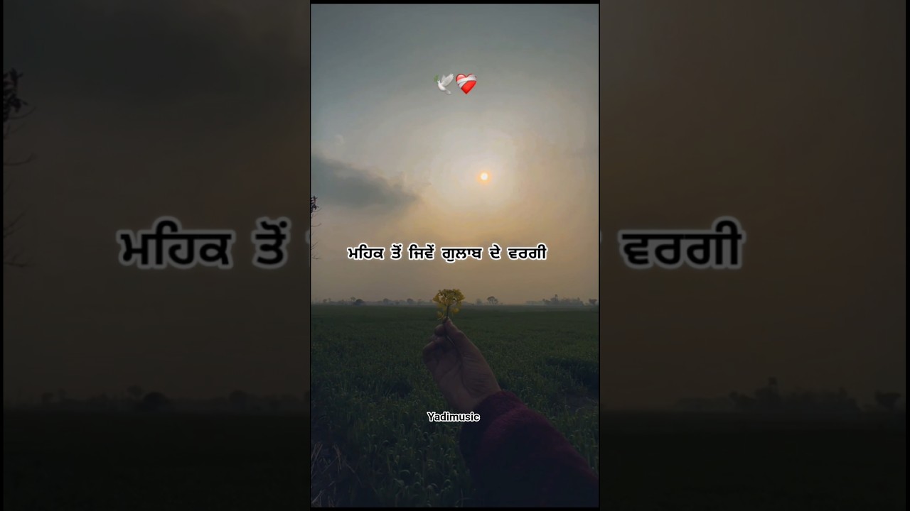 shors  #new #shortsfeed #love #punjabi #shortsvideo #hustinder