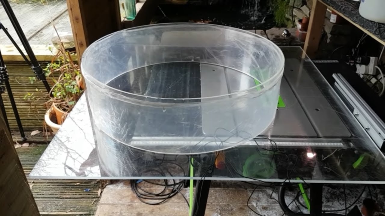 LIVE JELLYFISH AQUARIUM PART 1