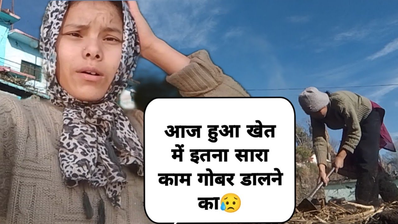  आज आलू वाले खेतों में डाल दिया सारा गोबर😊 अकेले आफद आ गई 😥#phadilifestyle #vlog 