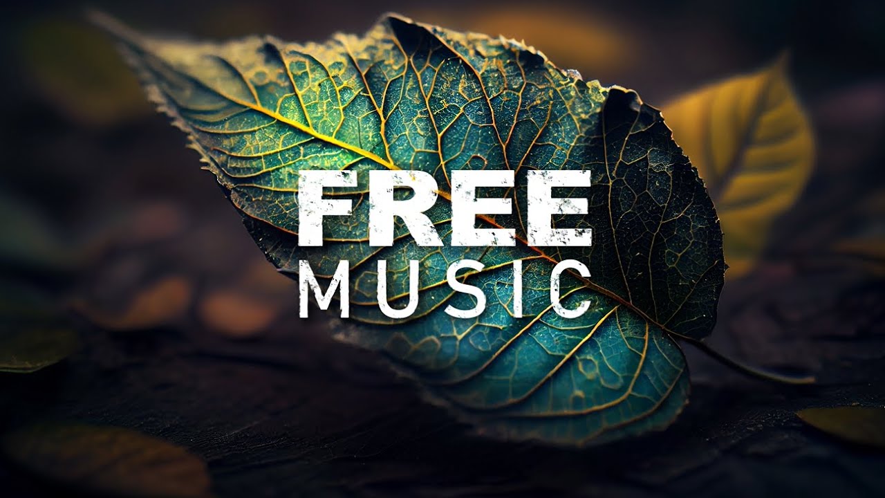 First Day – Huma-Huma (No Copyright Music)