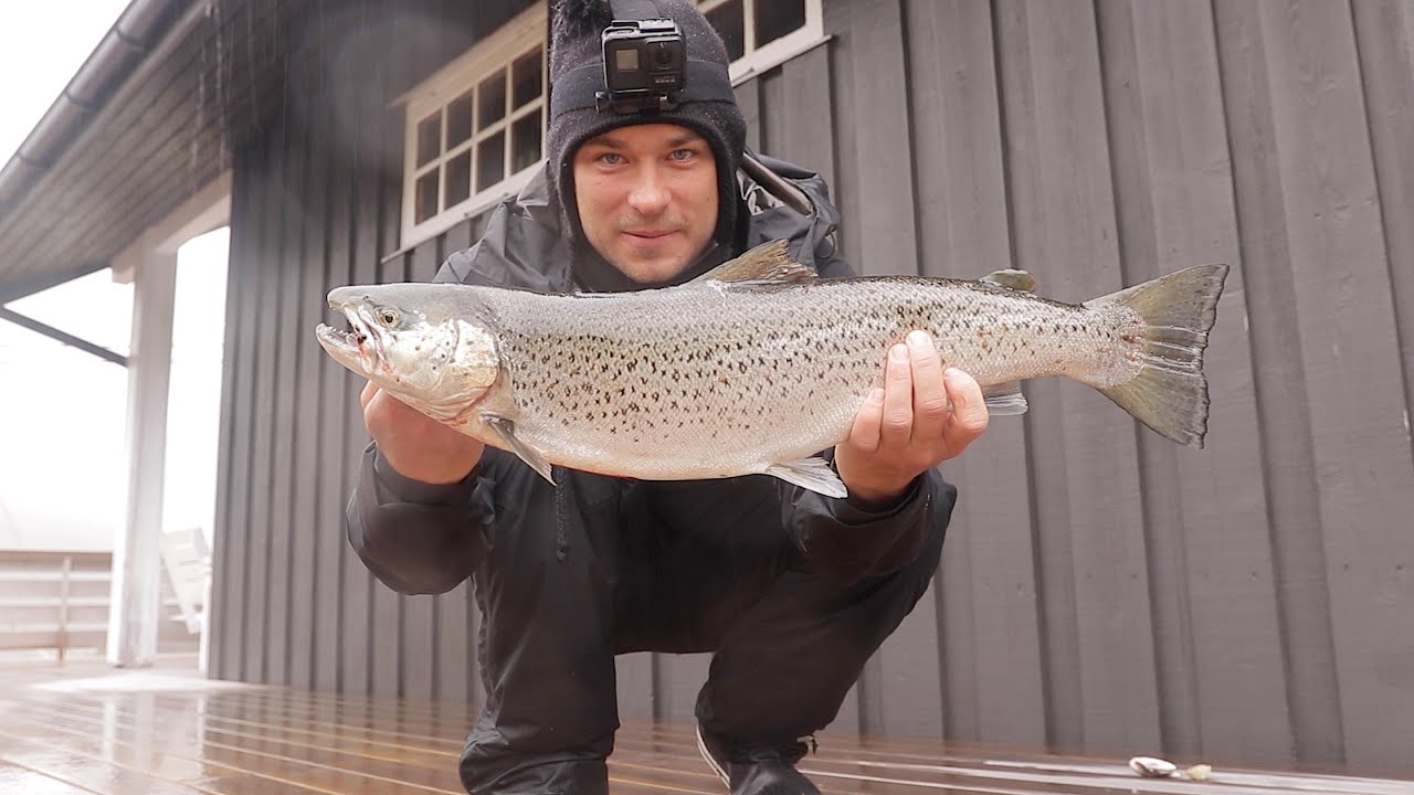 Ett år som Fiskegal - Fangstene du aldri fikk se