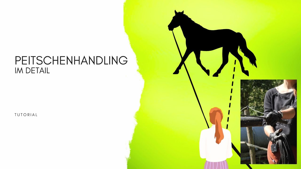 Peitschenhandling im Detail (Tutorial)