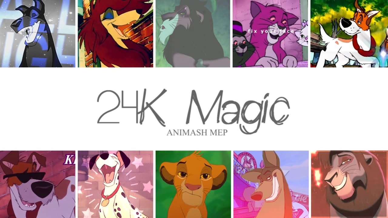 24K Magic || Animash MEP