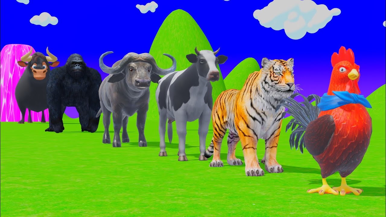 Long Slide Game with Tigers Lion Cow Hippopotamus Gorilla 3d Animal Game Funny 3d Animals