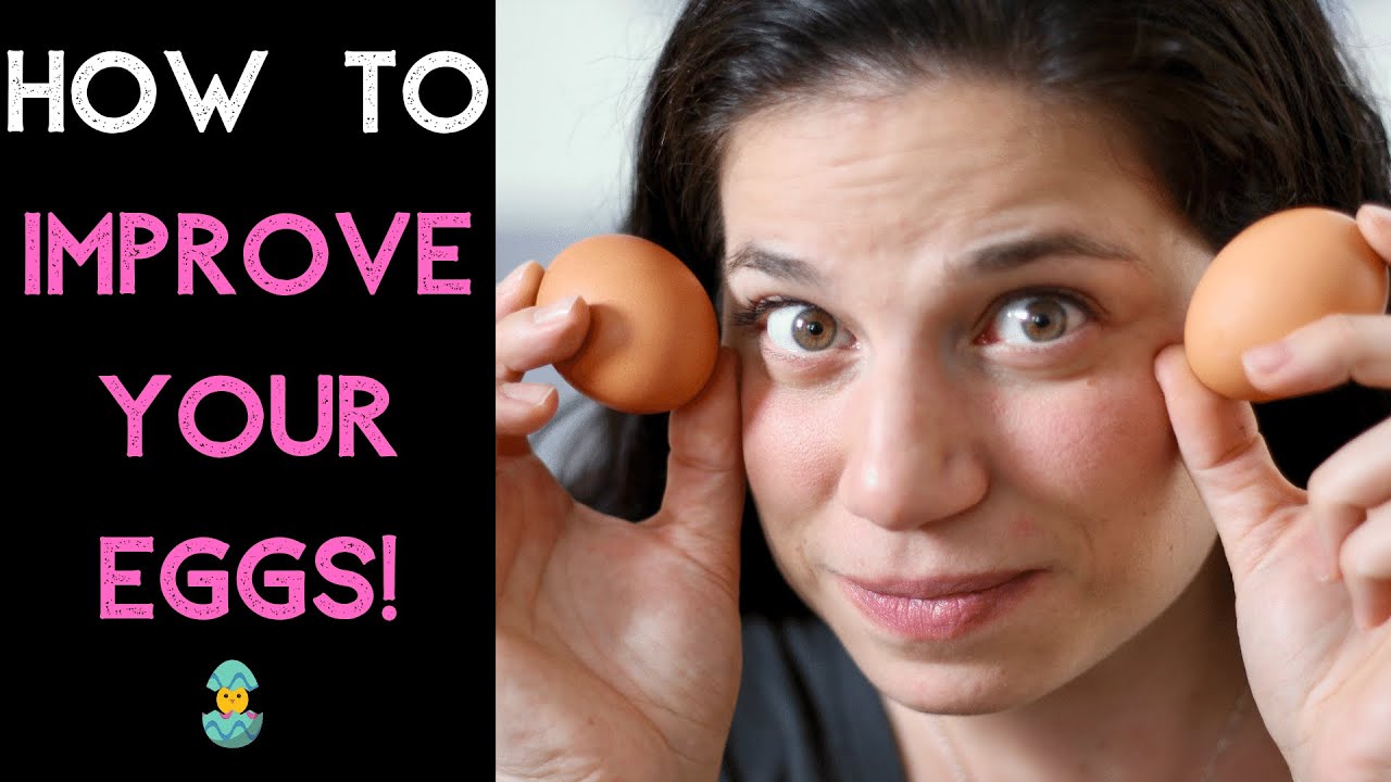 Tips to improve egg quality