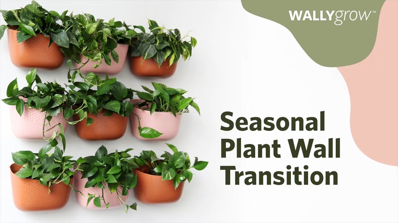 Seasonal Plant Wall Transition