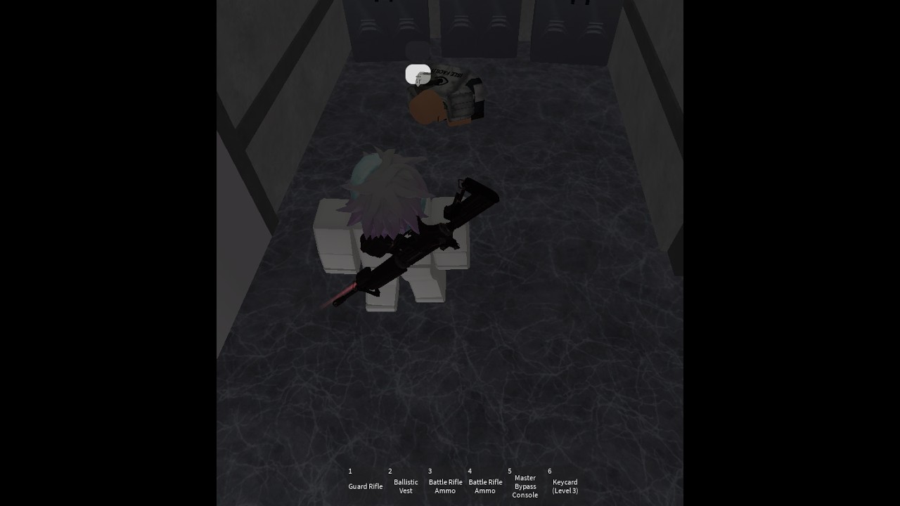ac 2p portal 1