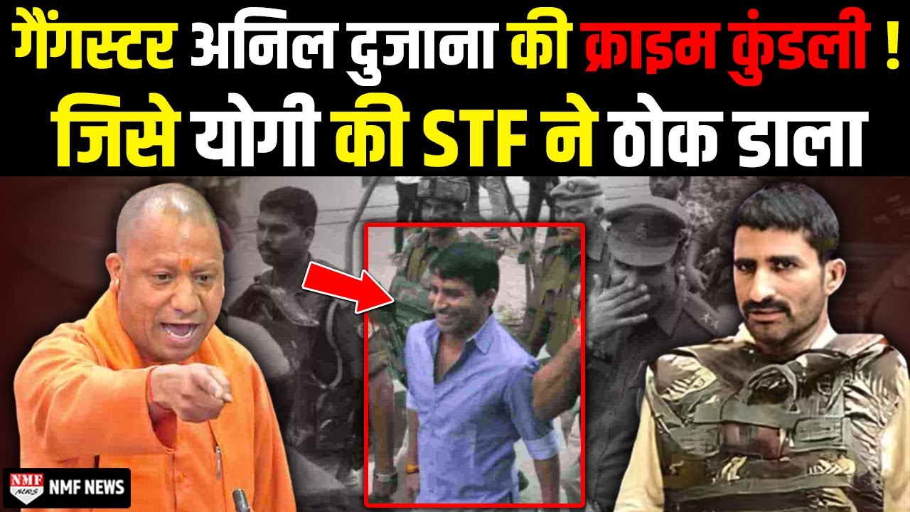 जिस खूंखार Gangster Anil Dujana को STF ने ठोक डाला... वो कितना खतरनाक था देख लीजिये !