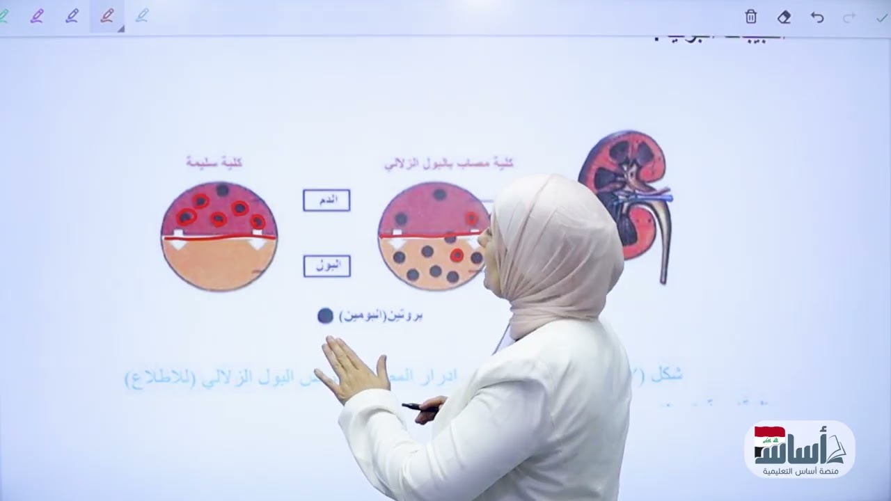 أمراض الجهاز البولي والاخراج/الفصل السابع/الاحياء_الثالث المتوسط