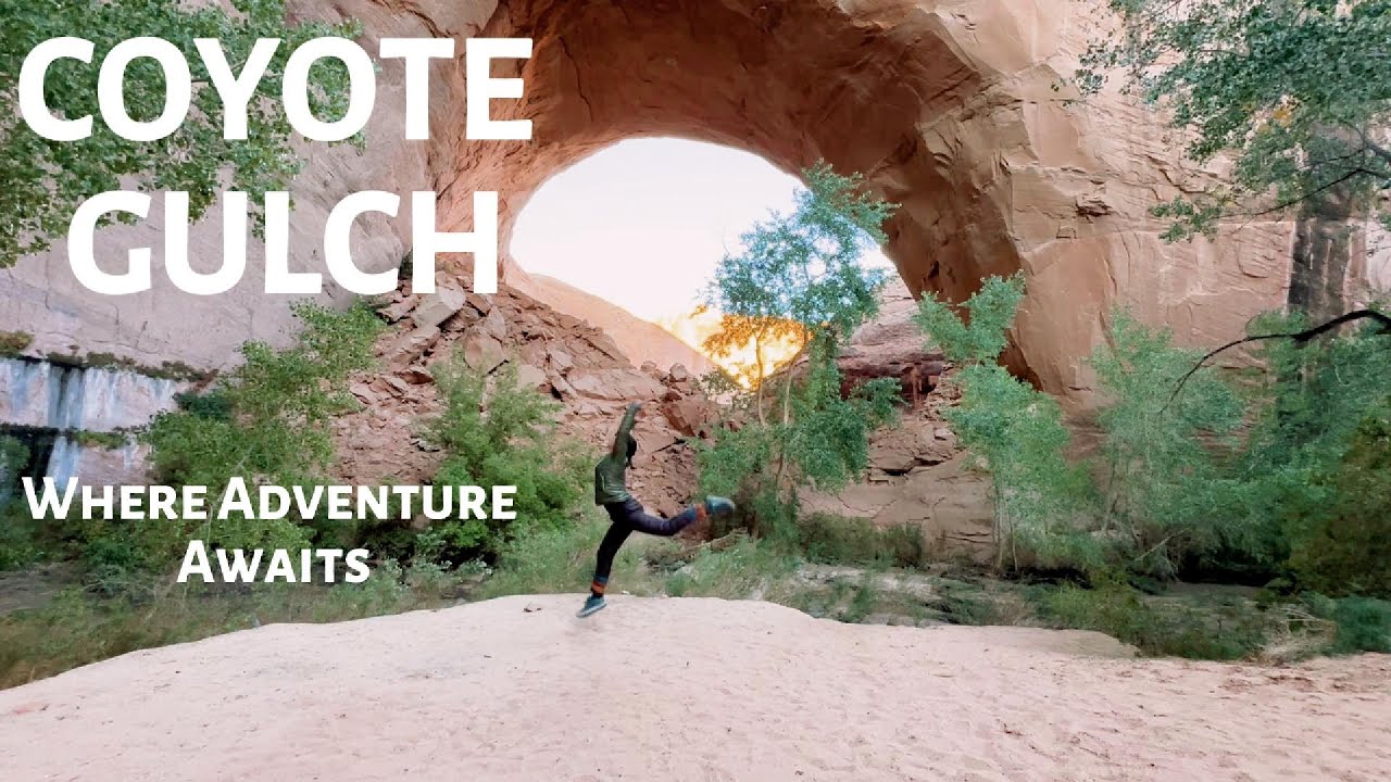 Never Too Old For A Coyote Gulch Adventure (Beginner Tips and What To Expect)