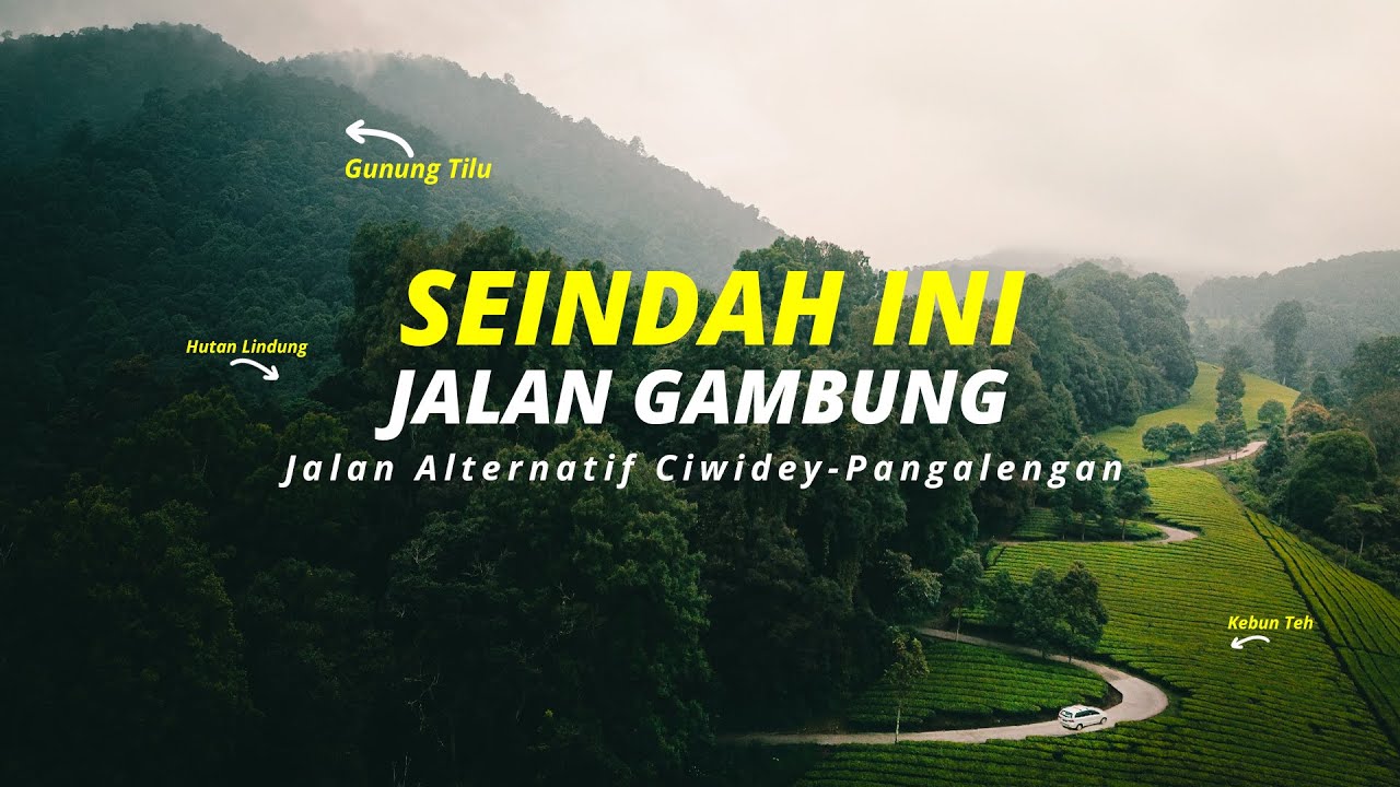 INFO RUTE JALUR GAMBUNG CIWIDEY | JALAN ALTERNATIF PANGALENGAN GUNUNG TILU | ROAD TRIP PAKAI AVANZA