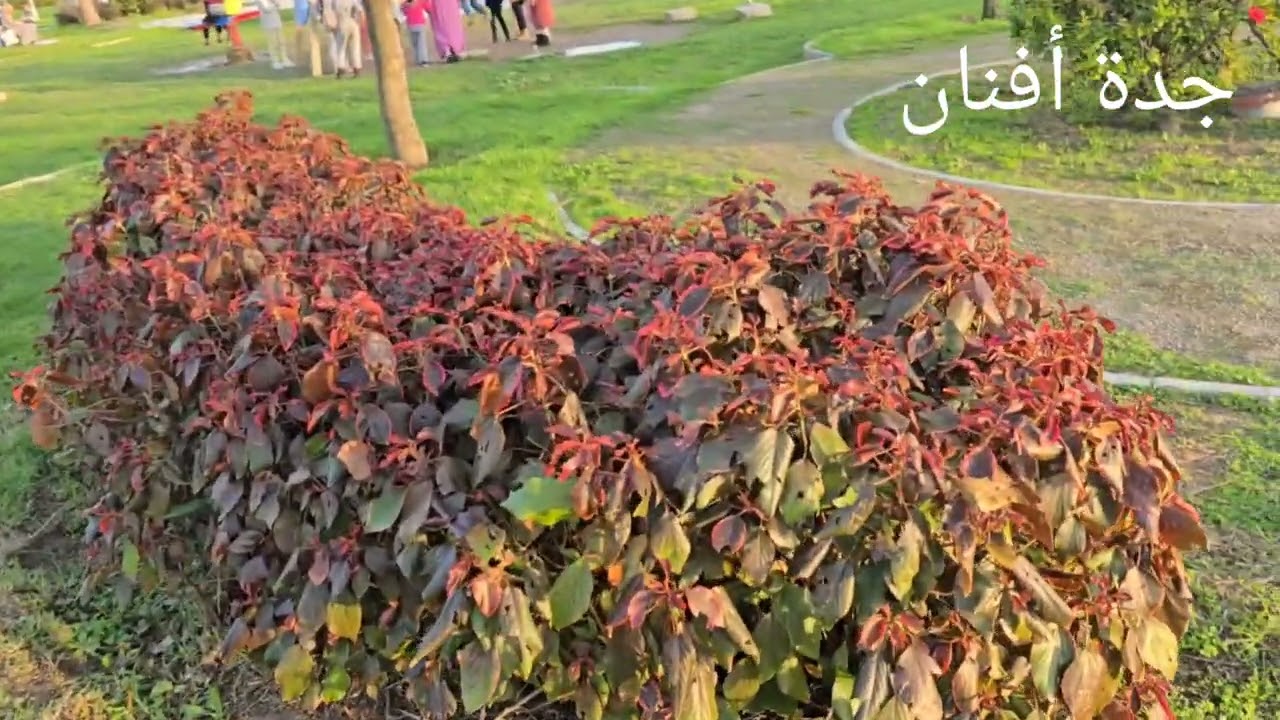  ساعة استجمام بمناضر خلابة سبحان الله يوم الأحد 👌 يارب العالمين كن مع اخواننا المتضررين الفيضانات 