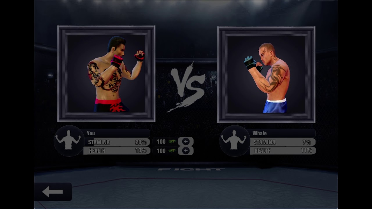 UFC on Ipad ( Fighting combat)