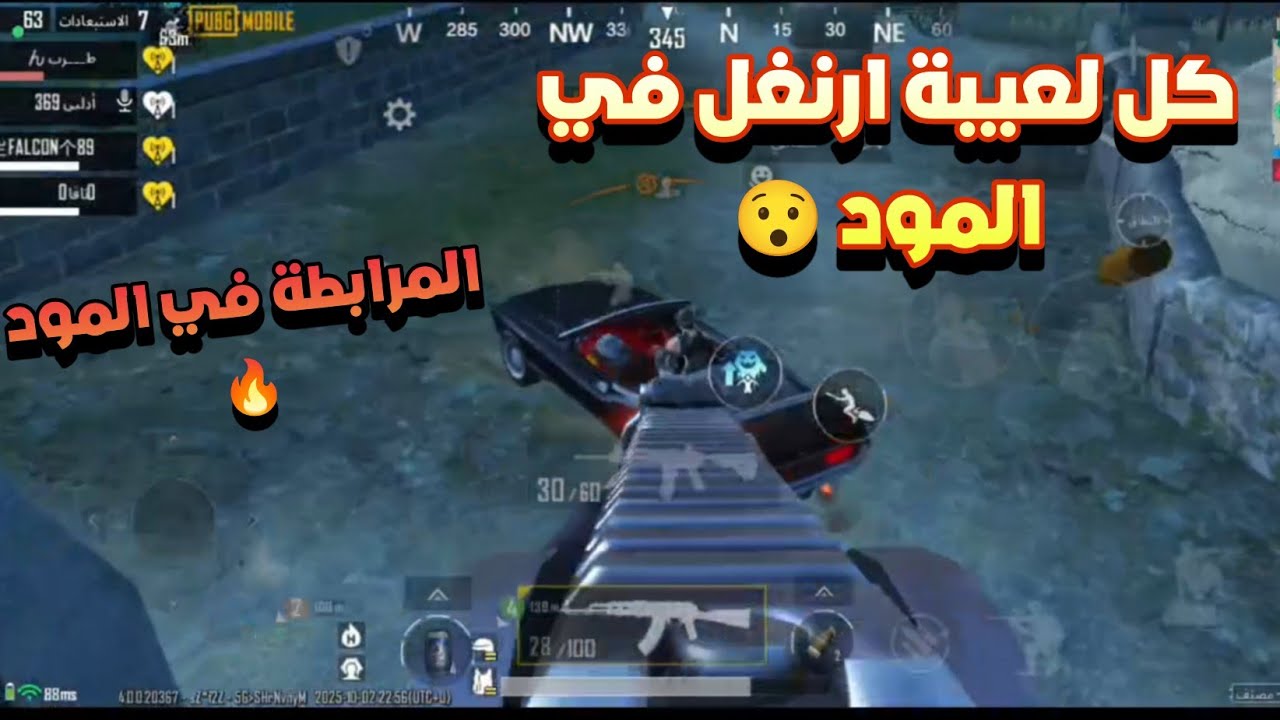 ارنغل فضيت وكل اللعيبة صارو بالمود خييااال| بقينا الوقت كله في المود | 31 كيل ولقطات جمميلة