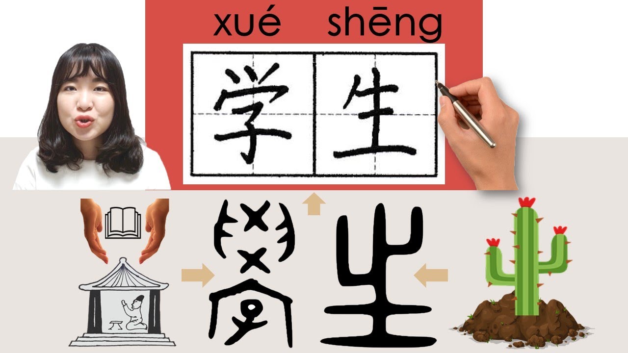 【NEW HSK1】_#hsk1 _学生/學生/xuesheng(student)How to Pronounce&Write Chinese Vocabulary/Character/Radical