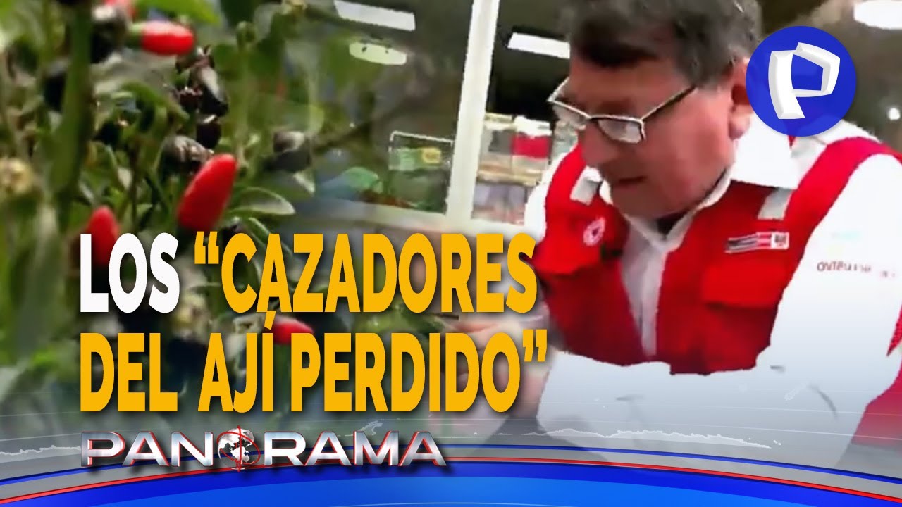 “Cazadores del ají perdido”: descubriendo tesoros culinarios hasta en su propio jardín