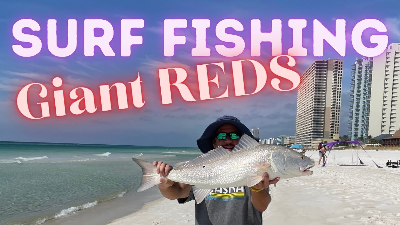 Panama City Beach ~ fishing for bull reds ~ surf fishing