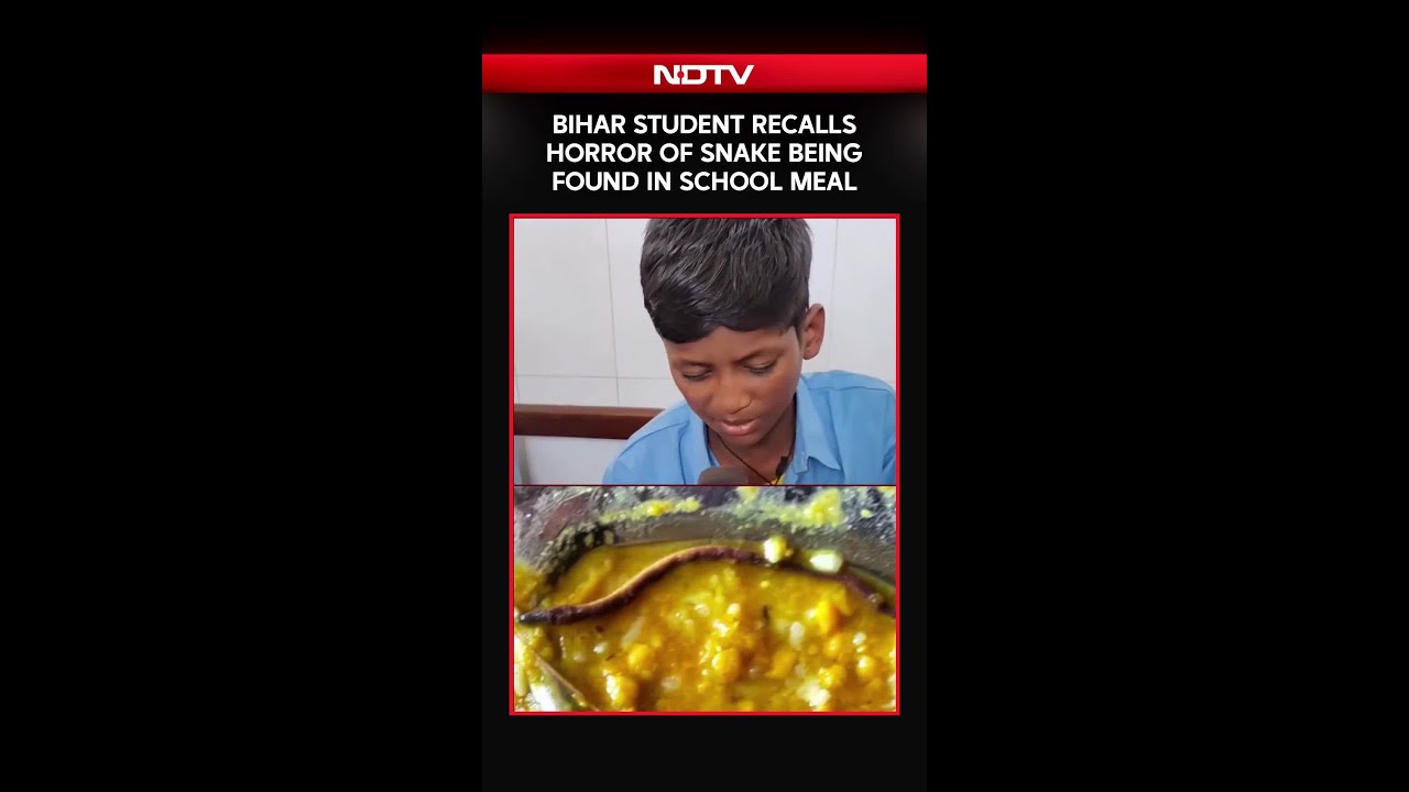 Bihar Student Recalls Horror Of Snake Being Found In School Mid-Day Meal